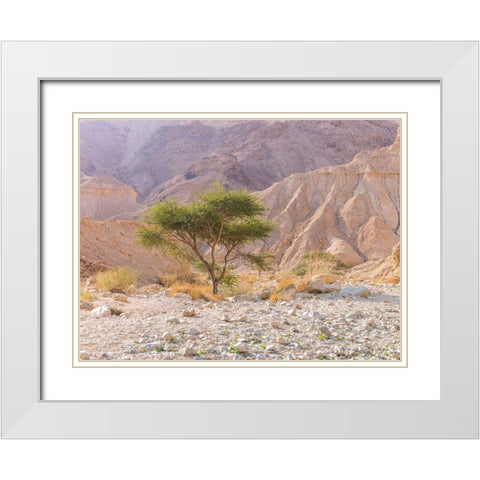 Negev Desert-Israel White Modern Wood Framed Art Print with Double Matting by Frank, Assaf