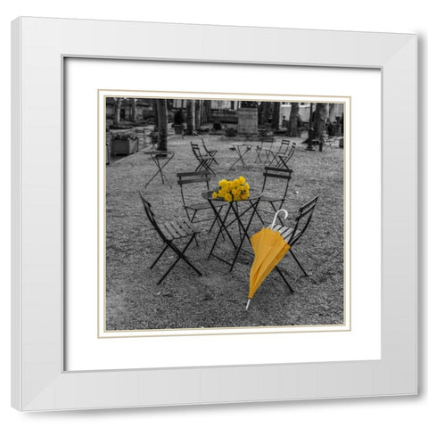 Bunch of roses and umbrella on table and chair at the park, New York White Modern Wood Framed Art Print with Double Matting by Frank, Assaf