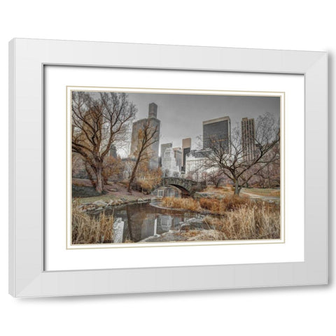 Central park and Manhattan skyline, New York White Modern Wood Framed Art Print with Double Matting by Frank, Assaf