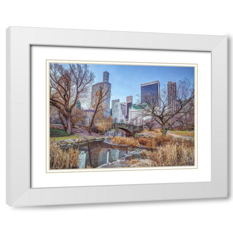 Central park with Manhattan skyline-New York White Modern Wood Framed Art Print with Double Matting by Frank, Assaf