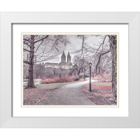 Pathway through Central park-New York White Modern Wood Framed Art Print with Double Matting by Frank, Assaf