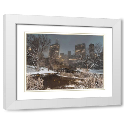 Central park with Manhattan skyline, New York White Modern Wood Framed Art Print with Double Matting by Frank, Assaf