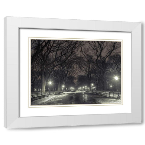Central park with Manhattan skyline, New York White Modern Wood Framed Art Print with Double Matting by Frank, Assaf