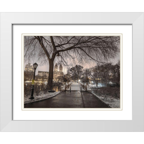 Evening view of Central park-New York White Modern Wood Framed Art Print with Double Matting by Frank, Assaf