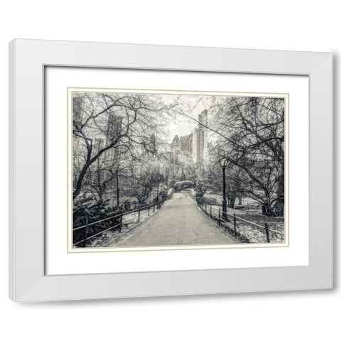 Pathway through Central park, New York White Modern Wood Framed Art Print with Double Matting by Frank, Assaf