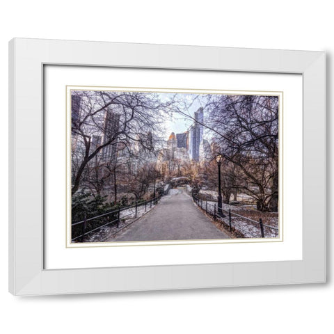 Pathway through Central park, New York White Modern Wood Framed Art Print with Double Matting by Frank, Assaf