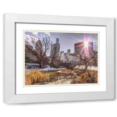 Central park with Lower Manhattan skyline, New York White Modern Wood Framed Art Print with Double Matting by Frank, Assaf