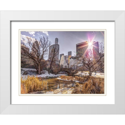 Central park with Lower Manhattan skyline, New York White Modern Wood Framed Art Print with Double Matting by Frank, Assaf