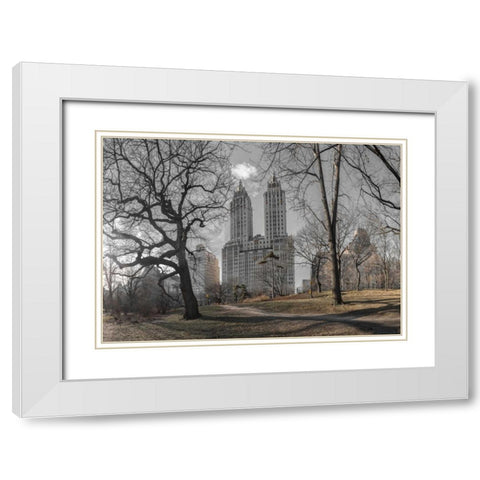 Lower Manhattan cityscape from Central park, New York White Modern Wood Framed Art Print with Double Matting by Frank, Assaf