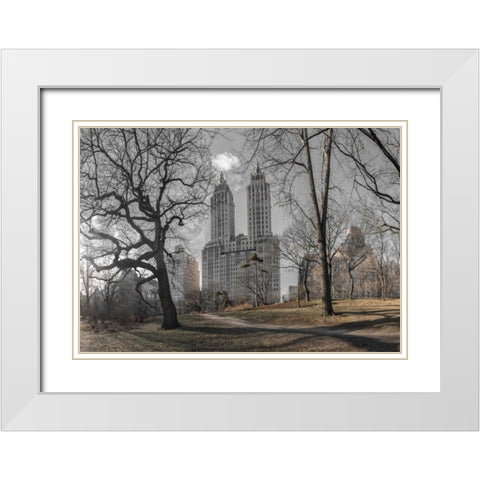 Lower Manhattan cityscape from Central park, New York White Modern Wood Framed Art Print with Double Matting by Frank, Assaf