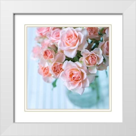 Gerberas in glass bottle White Modern Wood Framed Art Print with Double Matting by Frank, Assaf