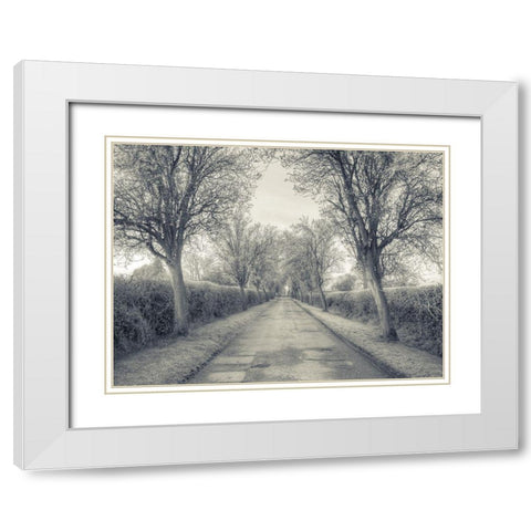 Road through trees, FTBR-1911 White Modern Wood Framed Art Print with Double Matting by Frank, Assaf