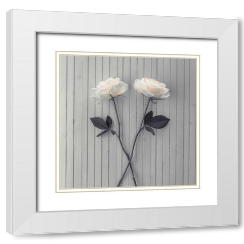 Roses on table White Modern Wood Framed Art Print with Double Matting by Frank, Assaf