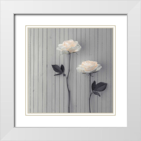 Roses in a row on table White Modern Wood Framed Art Print with Double Matting by Frank, Assaf