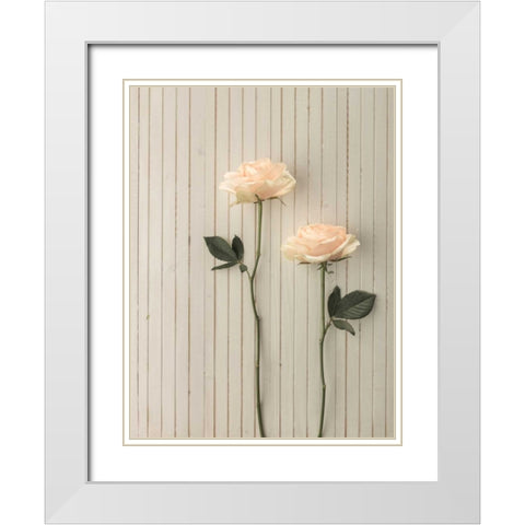 Roses in a row on table White Modern Wood Framed Art Print with Double Matting by Frank, Assaf