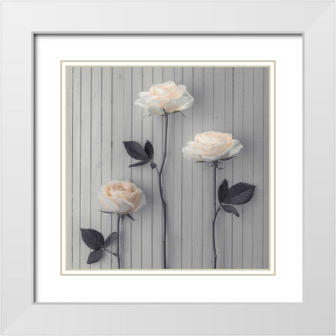Roses in a row on table White Modern Wood Framed Art Print with Double Matting by Frank, Assaf