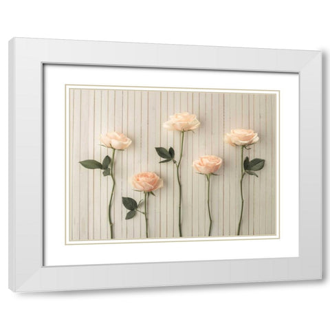 Roses in a row on table White Modern Wood Framed Art Print with Double Matting by Frank, Assaf
