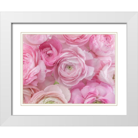 Bunch of Ranuncuclus White Modern Wood Framed Art Print with Double Matting by Frank, Assaf