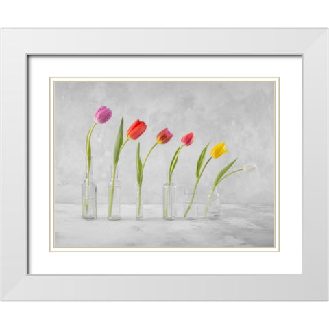Ranuncuclus flowers in glass bottles White Modern Wood Framed Art Print with Double Matting by Frank, Assaf
