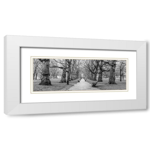 Avenue of trees, Green Park, London, FTBR-1839 White Modern Wood Framed Art Print with Double Matting by Frank, Assaf