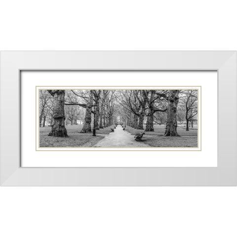 Avenue of trees, Green Park, London, FTBR-1839 White Modern Wood Framed Art Print with Double Matting by Frank, Assaf