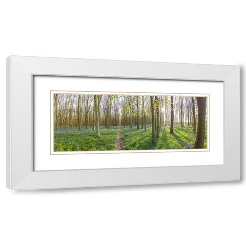 Spring forest with tall trees White Modern Wood Framed Art Print with Double Matting by Frank, Assaf
