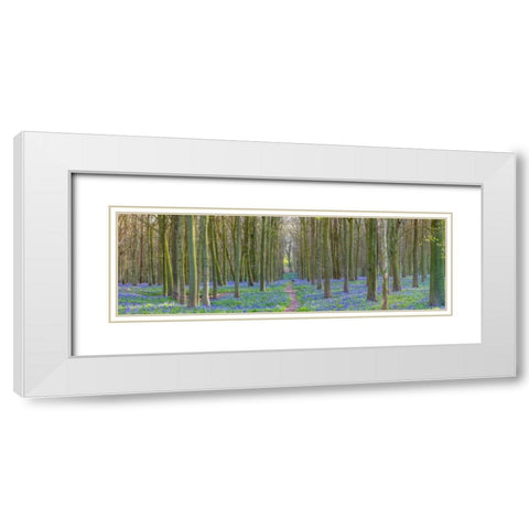 Spring forest with tall trees White Modern Wood Framed Art Print with Double Matting by Frank, Assaf