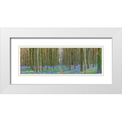 Spring forest with tall trees White Modern Wood Framed Art Print with Double Matting by Frank, Assaf