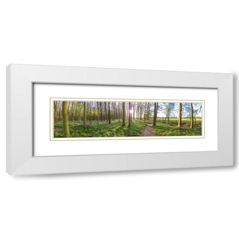 Spring forest with tall trees White Modern Wood Framed Art Print with Double Matting by Frank, Assaf