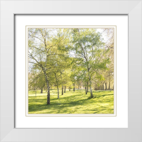 Changing the Guard, Buckingham Palace, London White Modern Wood Framed Art Print with Double Matting by Frank, Assaf