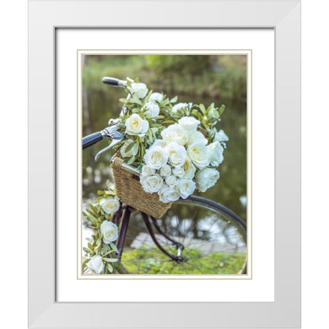 Variety of pulses in a wooden box White Modern Wood Framed Art Print with Double Matting by Frank, Assaf