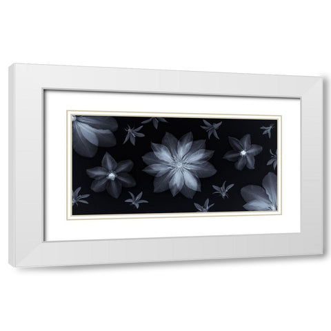 Clematis flowers White Modern Wood Framed Art Print with Double Matting by Frank, Assaf