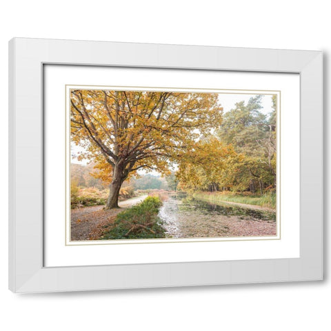 Basingstoke Canal White Modern Wood Framed Art Print with Double Matting by Frank, Assaf
