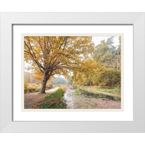 Basingstoke Canal White Modern Wood Framed Art Print with Double Matting by Frank, Assaf