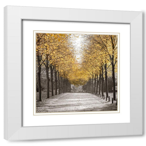 Road through trees White Modern Wood Framed Art Print with Double Matting by Frank, Assaf