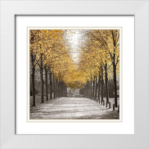 Road through trees White Modern Wood Framed Art Print with Double Matting by Frank, Assaf