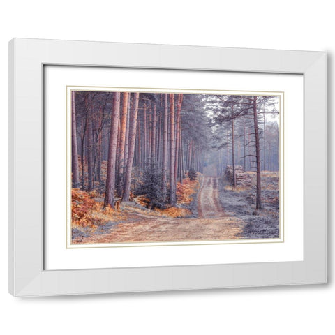 Road through Autumn forest White Modern Wood Framed Art Print with Double Matting by Frank, Assaf