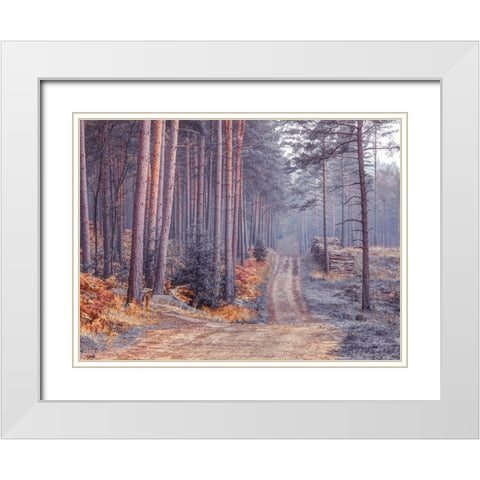 Road through Autumn forest White Modern Wood Framed Art Print with Double Matting by Frank, Assaf