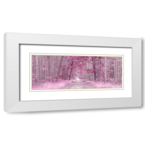 Pathway through Autumn forest, FTBR 1843 White Modern Wood Framed Art Print with Double Matting by Frank, Assaf