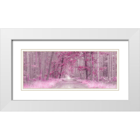 Pathway through Autumn forest, FTBR 1843 White Modern Wood Framed Art Print with Double Matting by Frank, Assaf