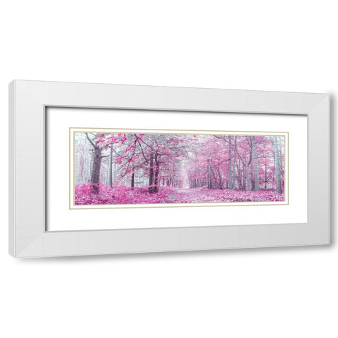 Pathway through Autumn forest White Modern Wood Framed Art Print with Double Matting by Frank, Assaf
