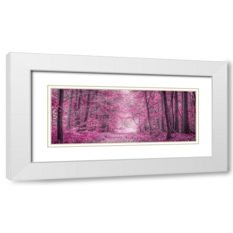 Pathway through Autumn forest White Modern Wood Framed Art Print with Double Matting by Frank, Assaf
