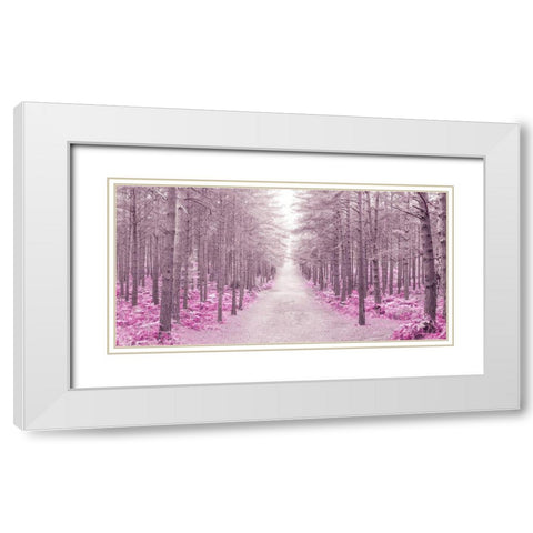 Pathway through Autumn forest, FTBR 1844 White Modern Wood Framed Art Print with Double Matting by Frank, Assaf