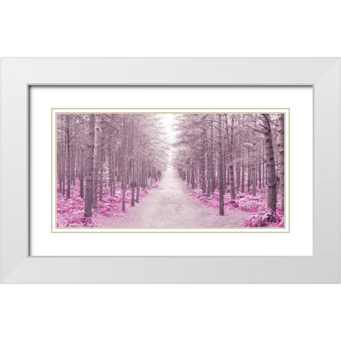 Pathway through Autumn forest, FTBR 1844 White Modern Wood Framed Art Print with Double Matting by Frank, Assaf