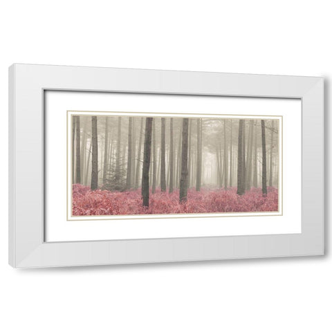 Misty forest with tall trees and foliage, FTBR 1845 White Modern Wood Framed Art Print with Double Matting by Frank, Assaf