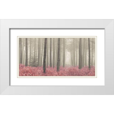 Misty forest with tall trees and foliage, FTBR 1845 White Modern Wood Framed Art Print with Double Matting by Frank, Assaf