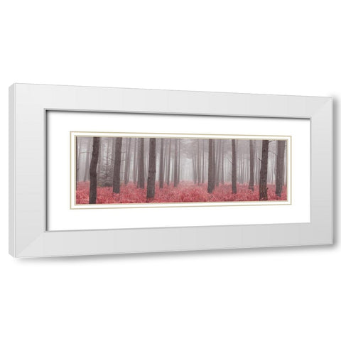Misty forest with tall trees and foliage, FTBR 1846 White Modern Wood Framed Art Print with Double Matting by Frank, Assaf