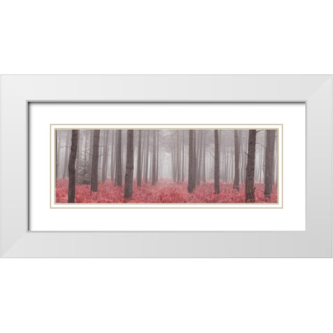 Misty forest with tall trees and foliage, FTBR 1846 White Modern Wood Framed Art Print with Double Matting by Frank, Assaf
