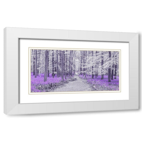 Path through bluebell forest, FTBR 1848 White Modern Wood Framed Art Print with Double Matting by Frank, Assaf