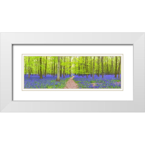 Bluebells White Modern Wood Framed Art Print with Double Matting by Frank, Assaf